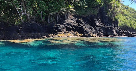 Passeio de barco turístico privado pela península do Taiti